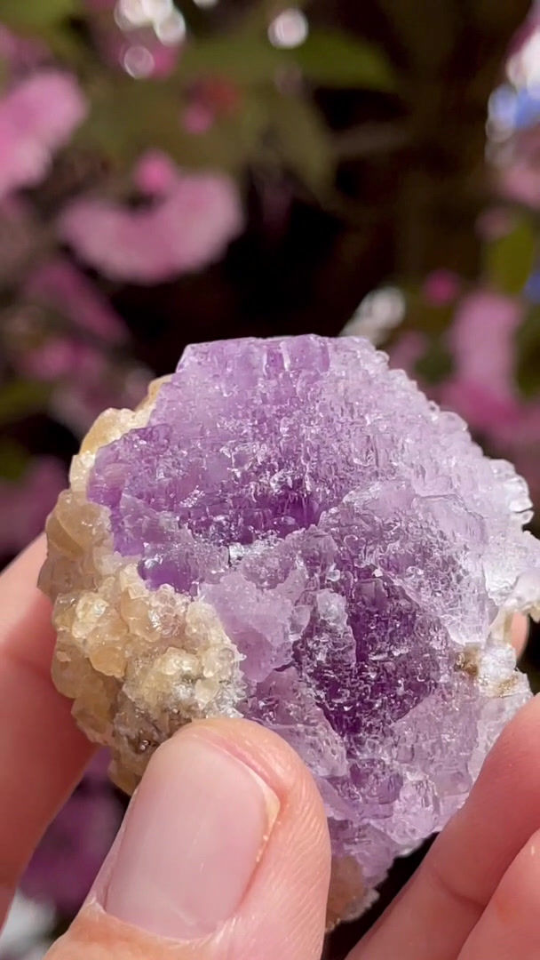 Thumbnail: Fluorite, Calcite – Camissinone Mine, Zogno, Bergamo, Italy