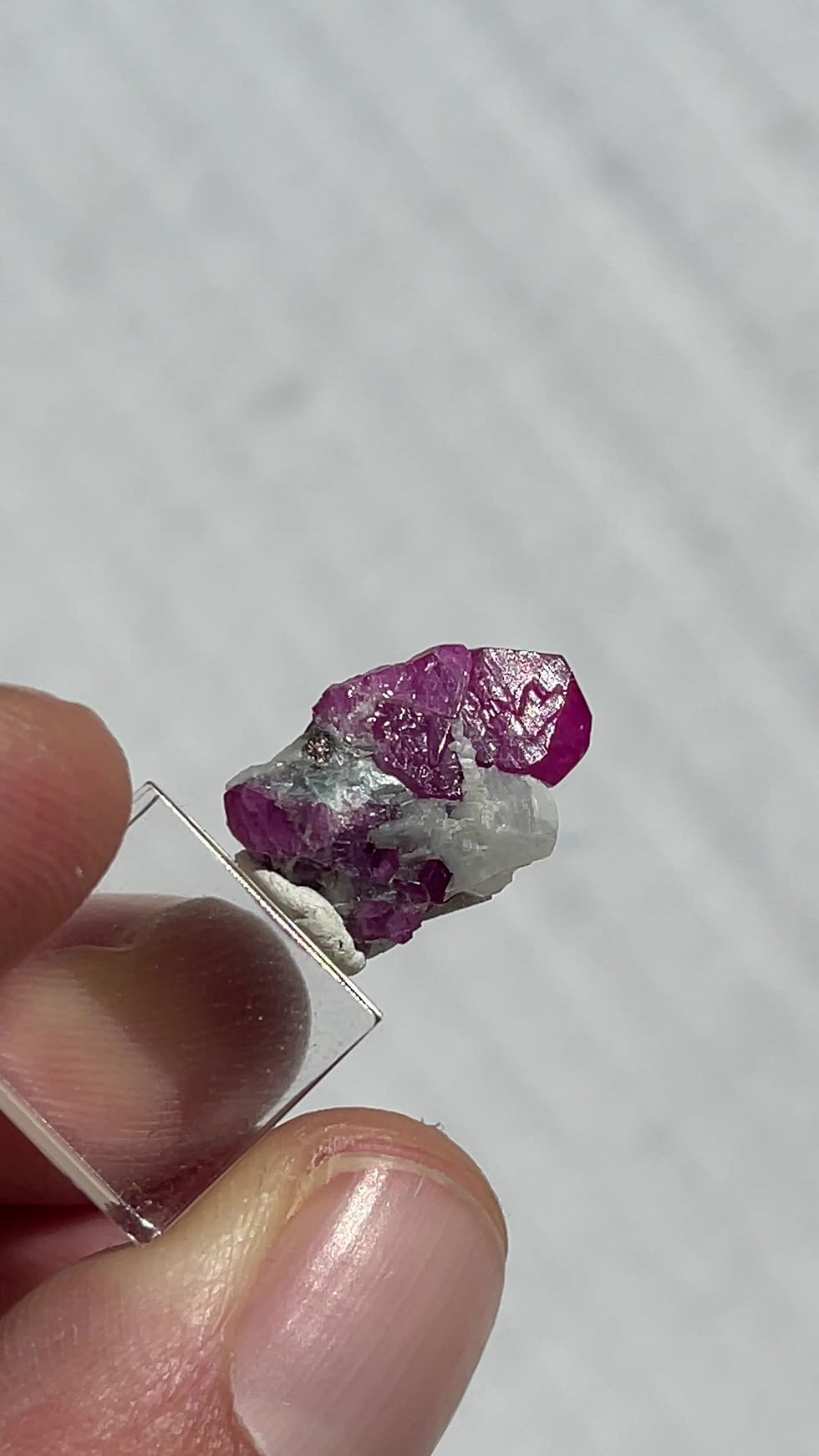 Thumbnail: Ruby on marble - Jegdalek, Afghanistan