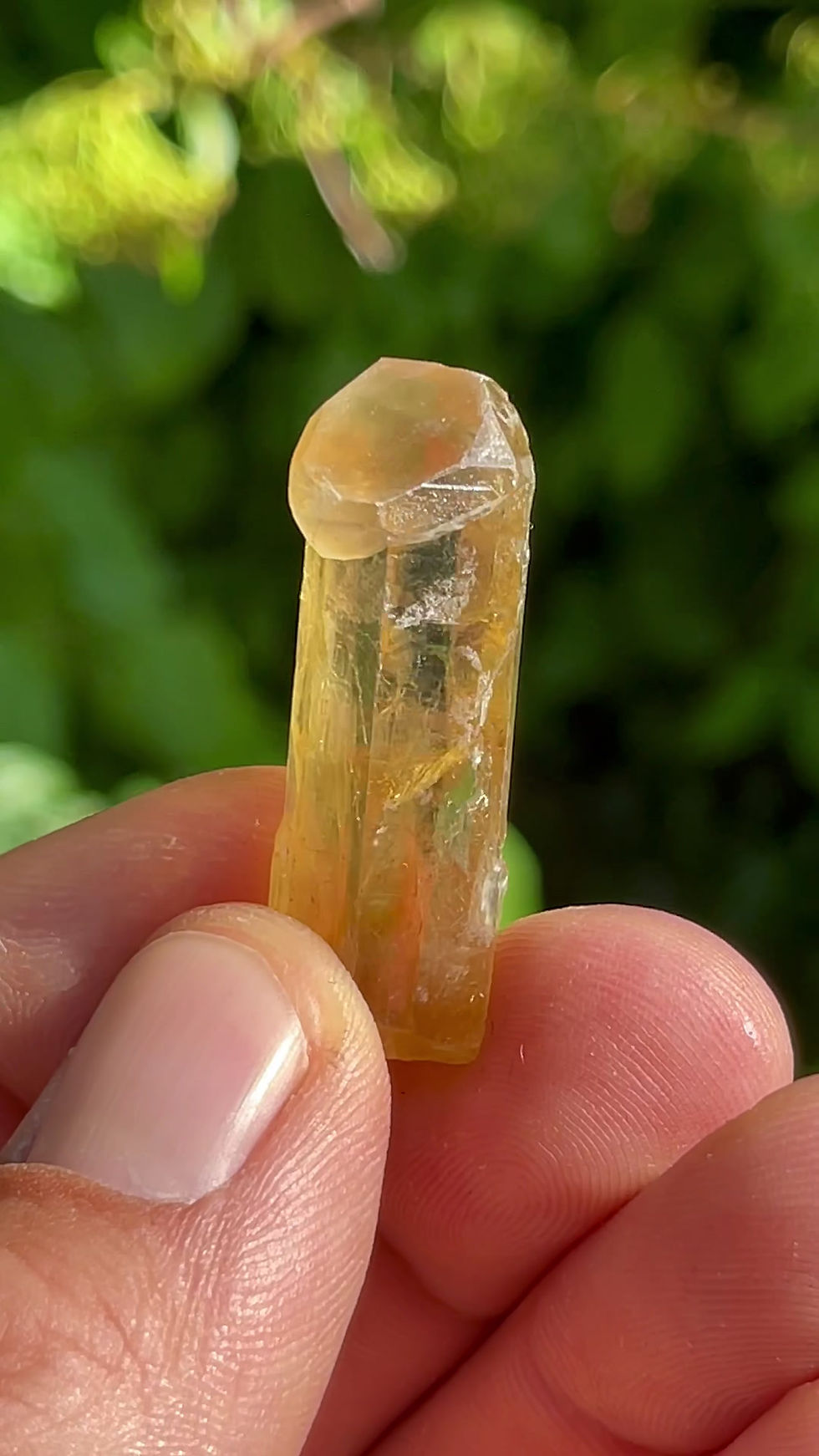 Thumbnail: Barite Scepter - Olloix, Puy-De-Dome, France