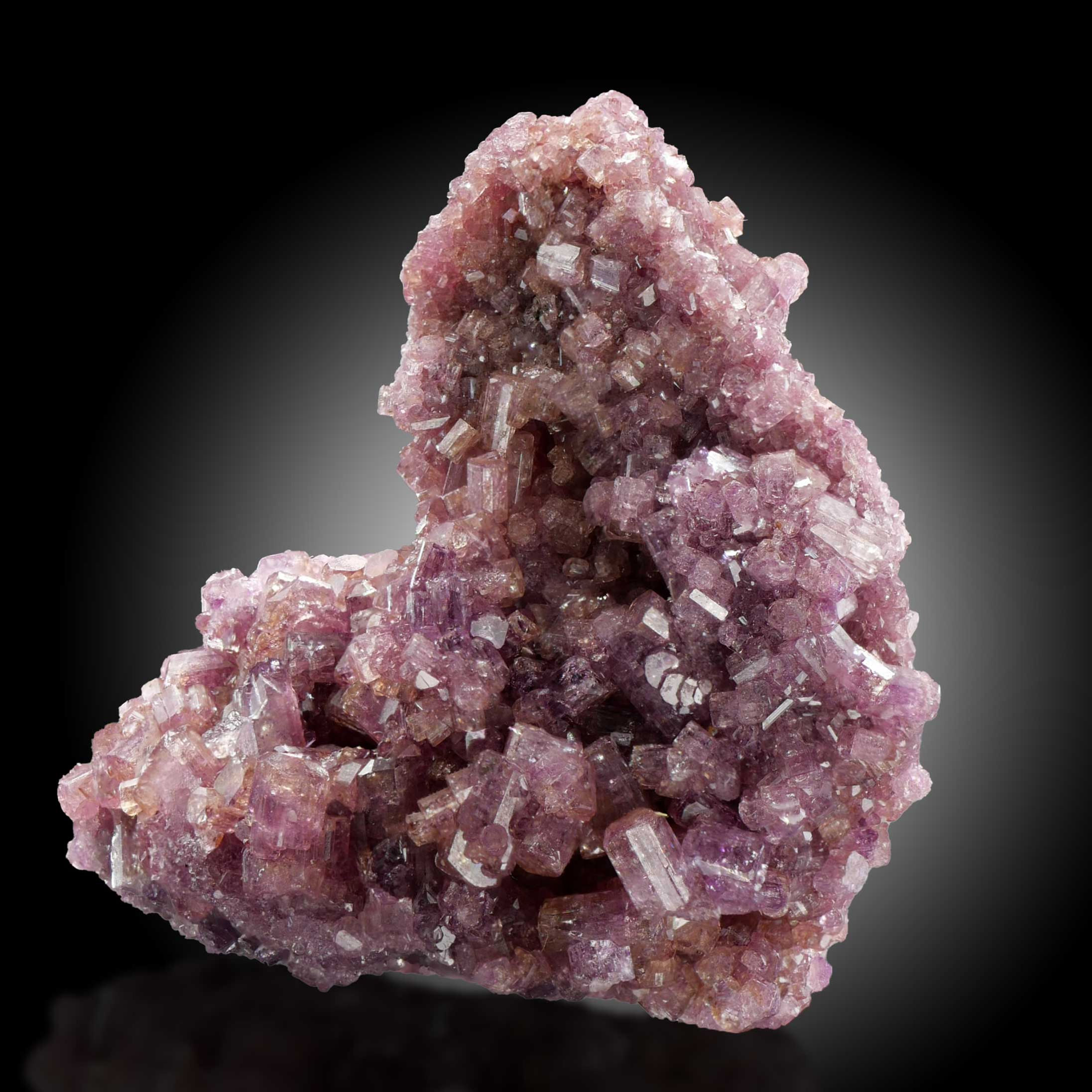 Vesuvianit – Jeffrey Mine, Asbestos (Val-des-Sources), Quebec, Kanada