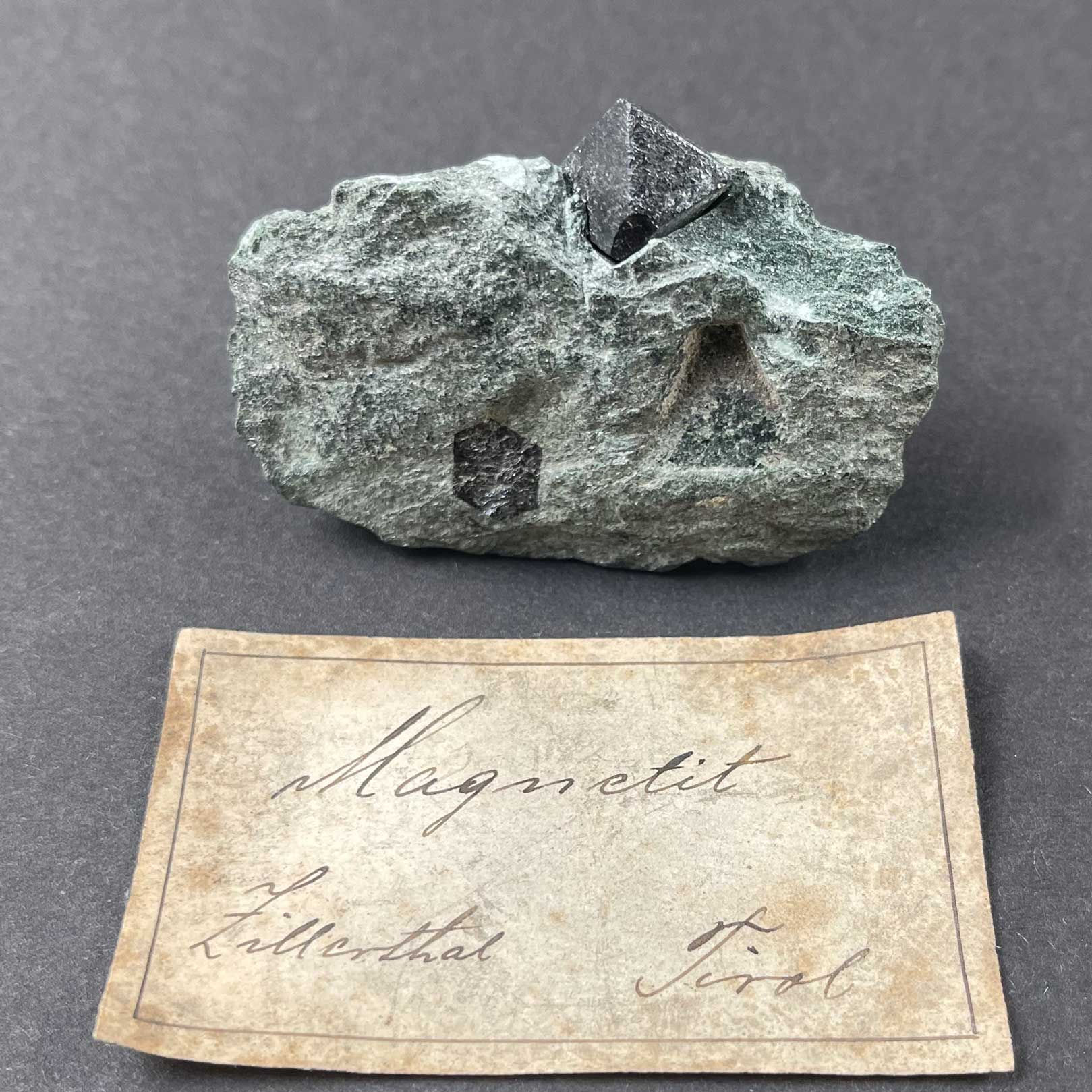 Magnetit auf Chloritschiefer – Zillertal, Österreich