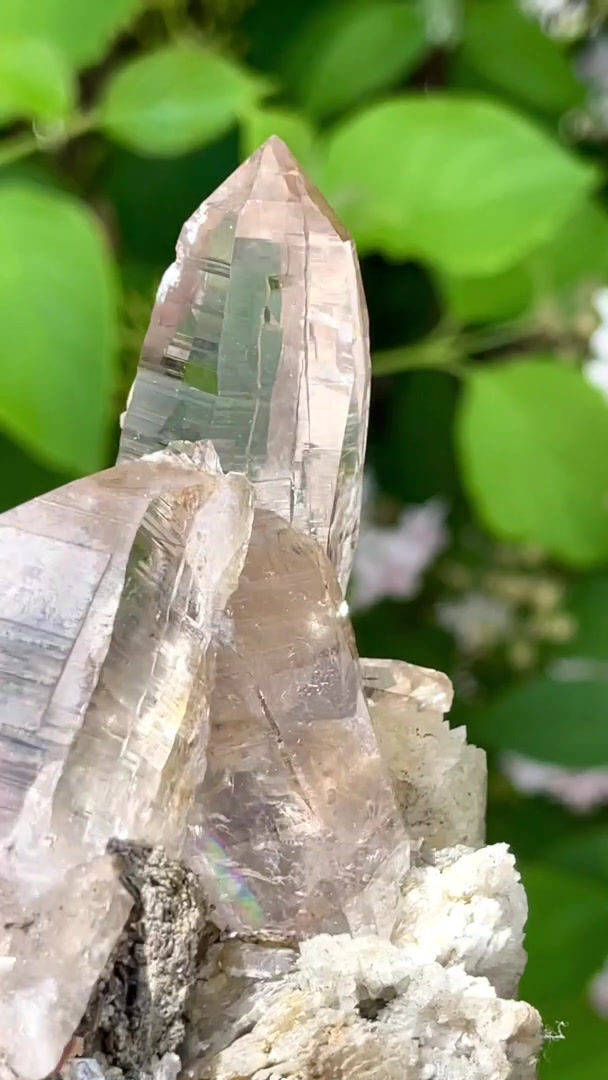 Thumbnail: Smoky quartz, Ticino habitus – Val Cristallina, Switzerland