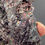 Thumbnail: Goethite – Bayerland Mine, Pfaffenreuth, Germany