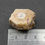 Thumbnail: Orthoclase (Karlsbad twin left) - Kirnbergsee, Black Forest, Germany
