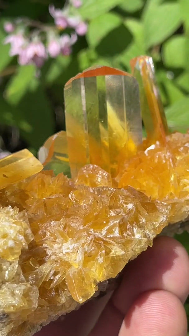 Thumbnail: Selenite – Salinas de Otuma, Paracas, Peru