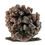 Thumbnail: Pyromorphite – Bad Ems, Rhineland-Palatinate, Germany