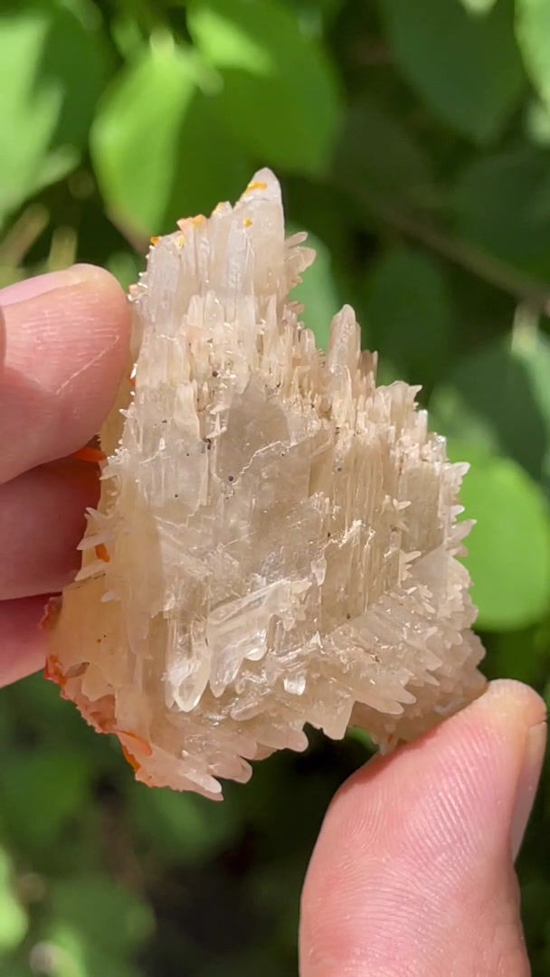 Thumbnail: Wulfenite on cerussite – Les Dalles, Mibladen, Midelt, Morocco