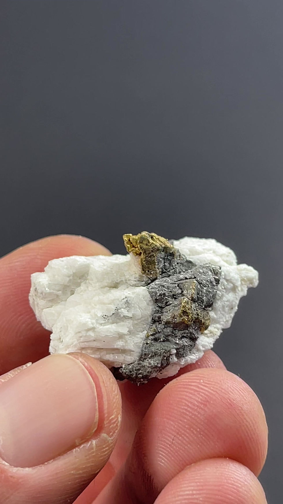 Thumbnail: Gold - Diltz Mine, Mariposa, USA