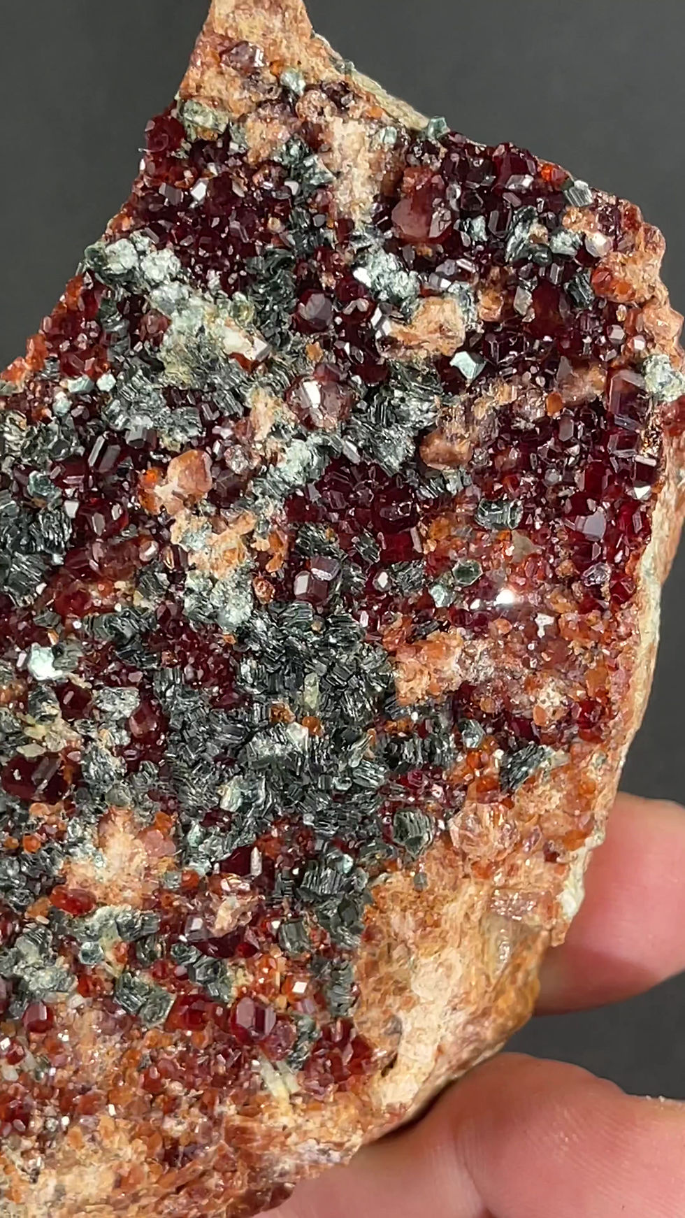 Thumbnail: Hessonite with clinochlore - Alpe della Mussa, Val d'Ala, Torino, Italy