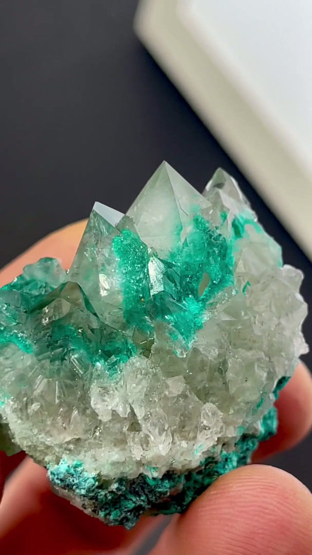 Thumbnail: Dioptase in Quartz – Sanda, Mindouli, D.R. Congo