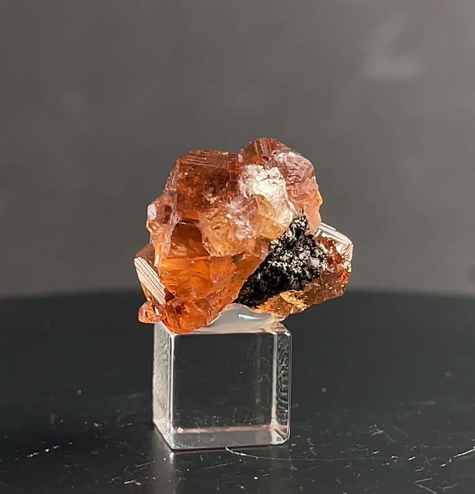 Thumbnail: Garnet - Jeffrey Mine, Asbestos, Canada