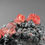 Thumbnail: Rhodochrosite – Uchucchacua Mine, Oyon, Peru