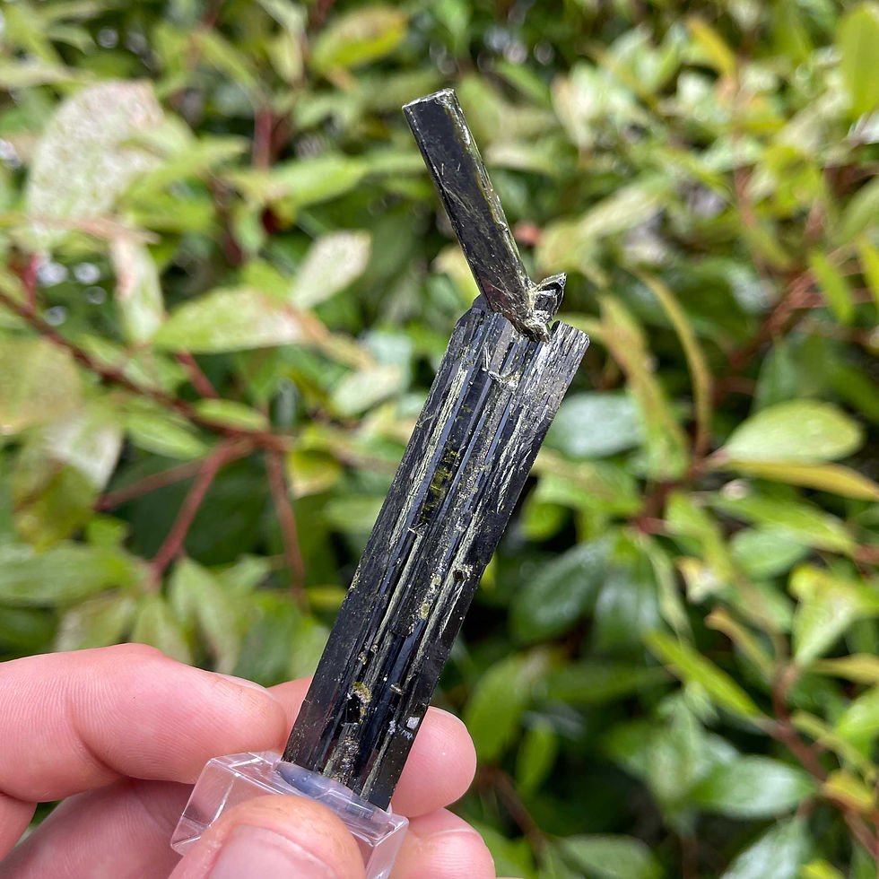 Thumbnail: Epidote - Dashkesan, Azerbaijan