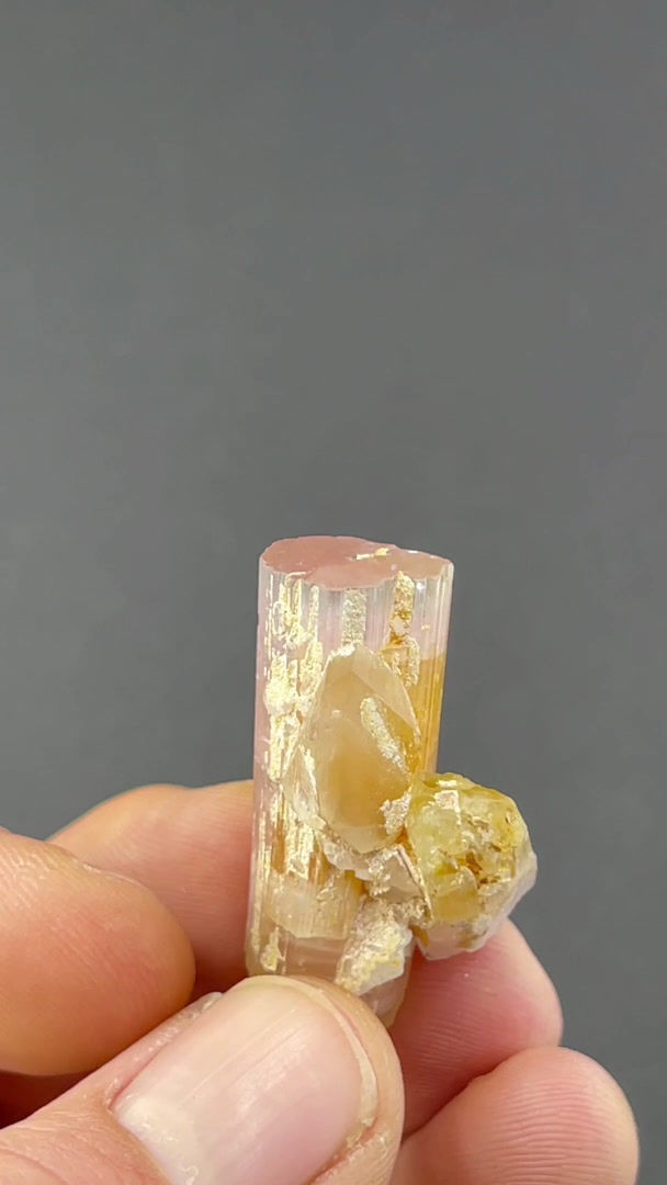 Thumbnail: Tourmaline – Paprok, Nuristan, Afghanistan