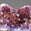 Thumbnail: Amethyst – Moon Light Mine, Thunder Bay District, Ontario, Canada