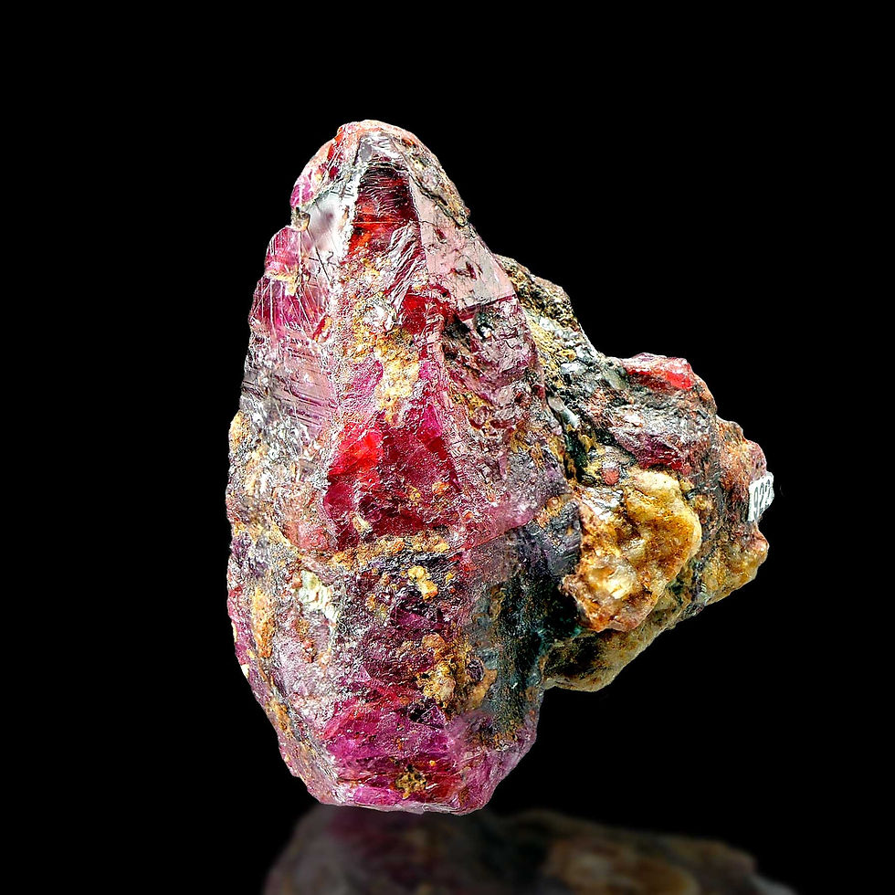 Ruby – John Saul, Tsavo West, Kenya