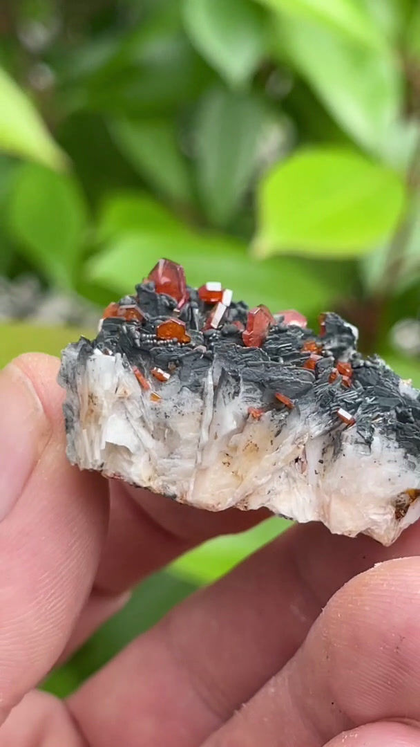 Thumbnail: Vanadinite, Barite, Psilomelane – Taouz, Meknes-Tafilalet, Morocco