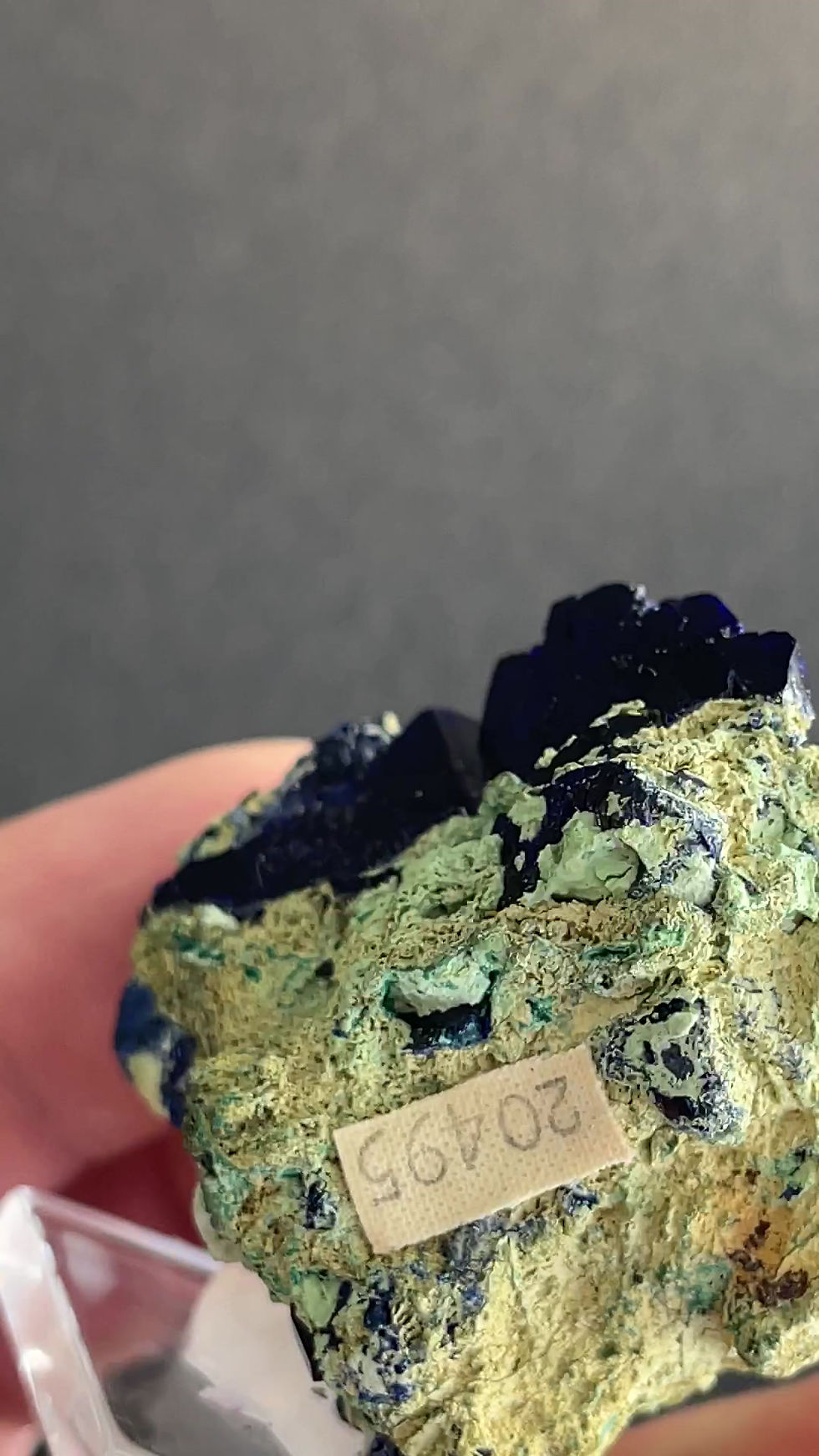 Thumbnail: Azurite – Tsumeb, Otawi Mountains, Namibia