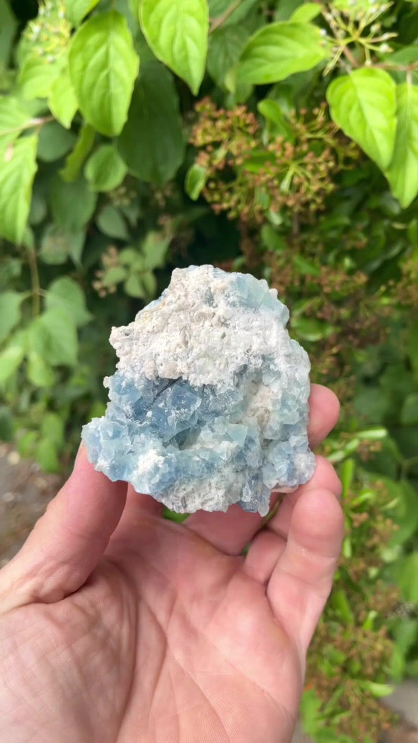 Thumbnail: Fluorite – Krimml, Pinzgau, Austria
