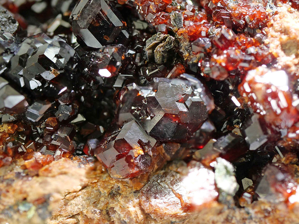 Thumbnail: Hessonite - Alpe della Mussa, Val d'Ala, Torino, Italy