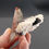 Thumbnail: Barite, dolomite – Frizington, Cumbria, England