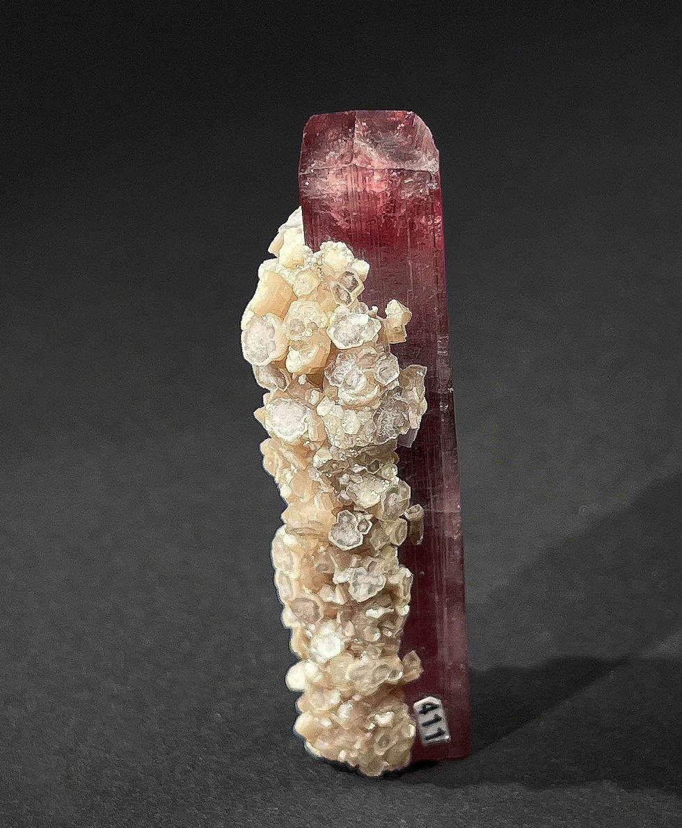 Miniaturbild: Turmalin mit Lepidolith - Himalaya Mine, USA