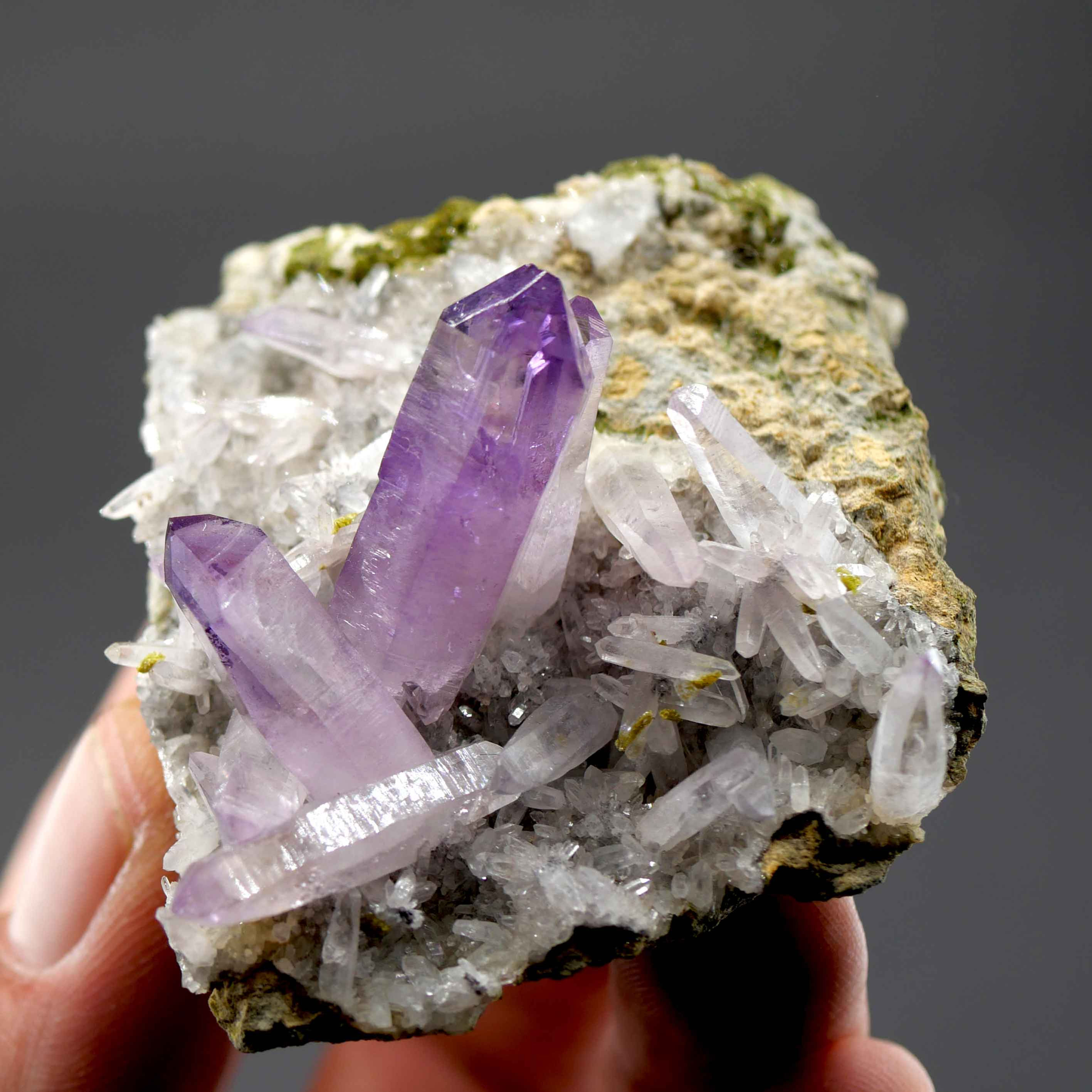 Amethyst – Las Vigas, Veracruz, Mexico