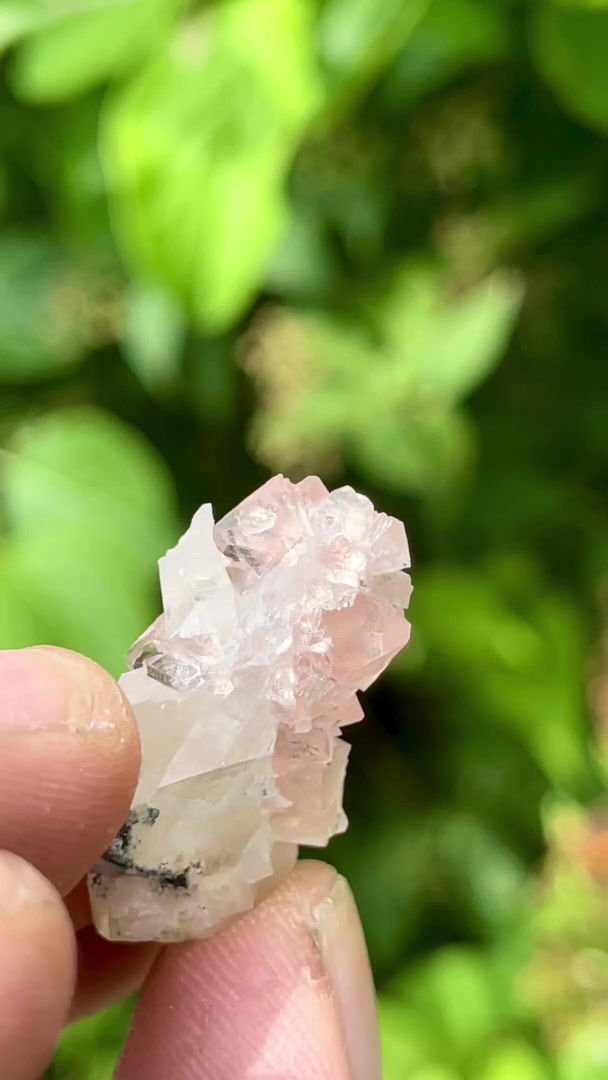 Thumbnail: Pink Fluorite, Calcite – New Gotthard Tunnel, Switzerland