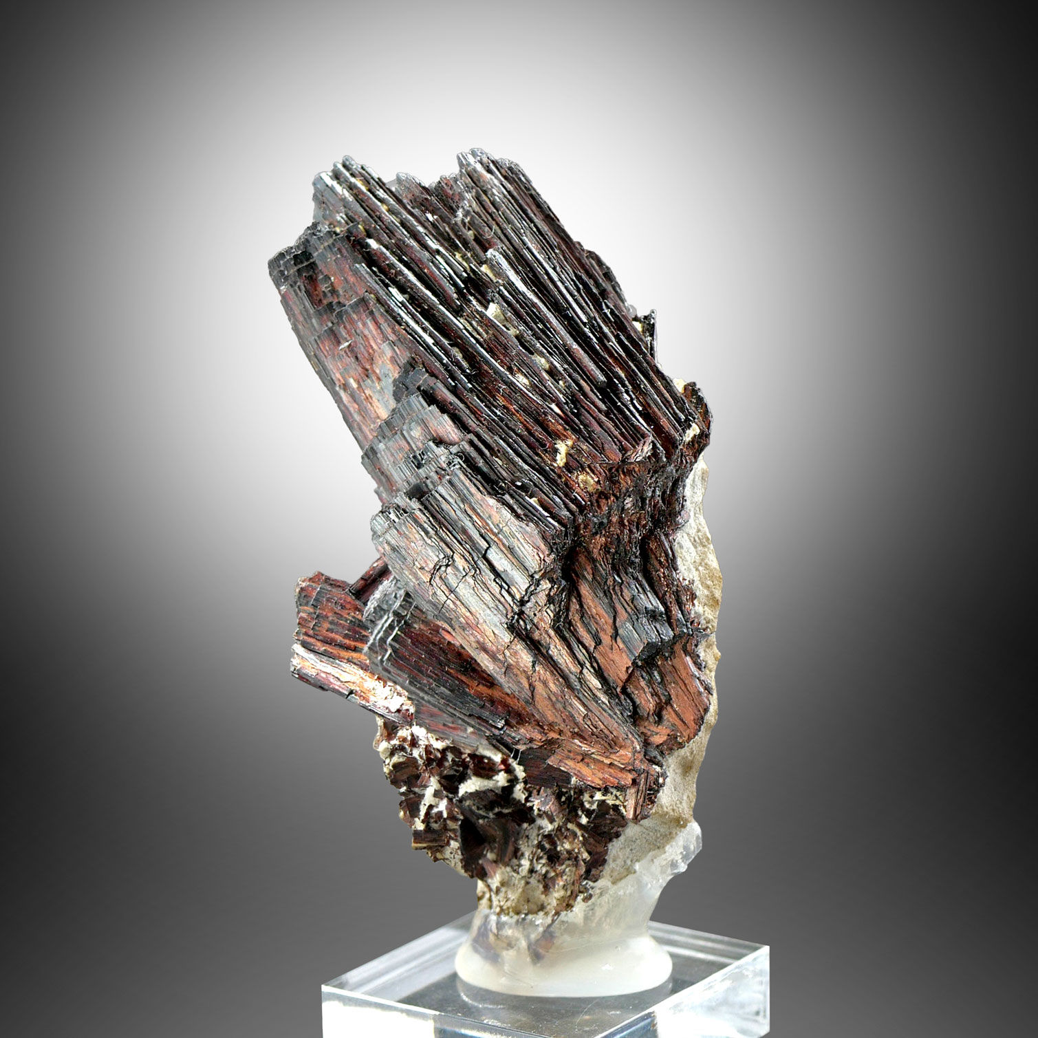 Hübnerite – Adams Claim, Silverton, Colorado, USA