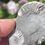 Thumbnail: Ammonite Pyritized / Pleuroceras, Lias) – Bultenheim, Germany