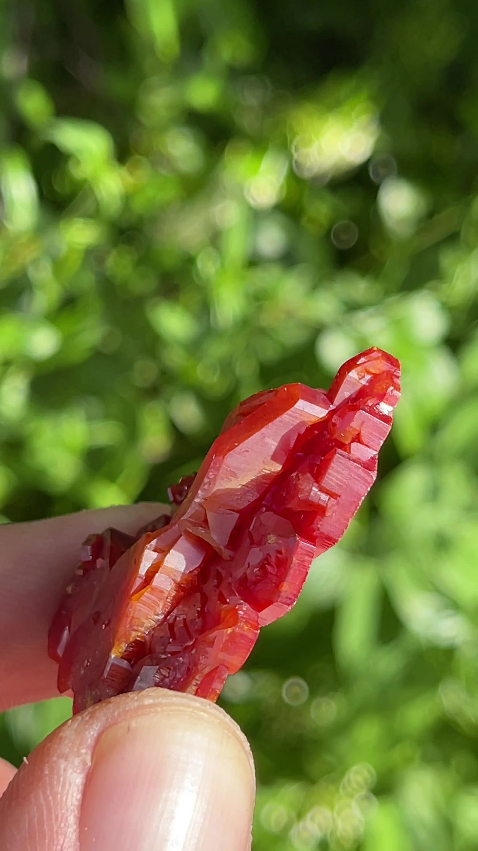 Thumbnail: Vanadinite - Mibladen, Midelt, Draa-Tafilalet, Morocco
