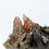 Thumbnail: Axinite – La Balme d'Auris, Bourg d'Oisans, France