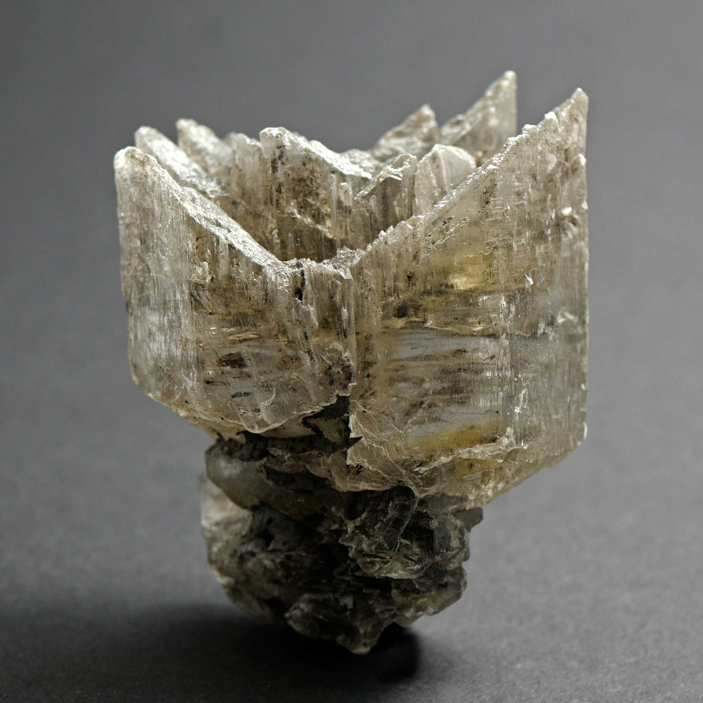 Selenite - Arignac, Tarascon, Ariege, France