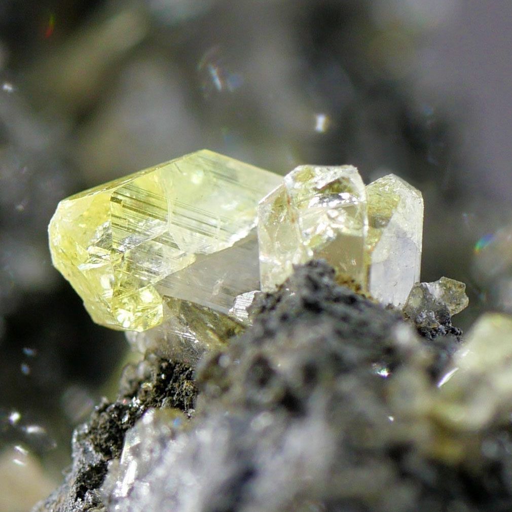 Anglesit auf Galenit - Touissit, Oujda-Angad, Marokko