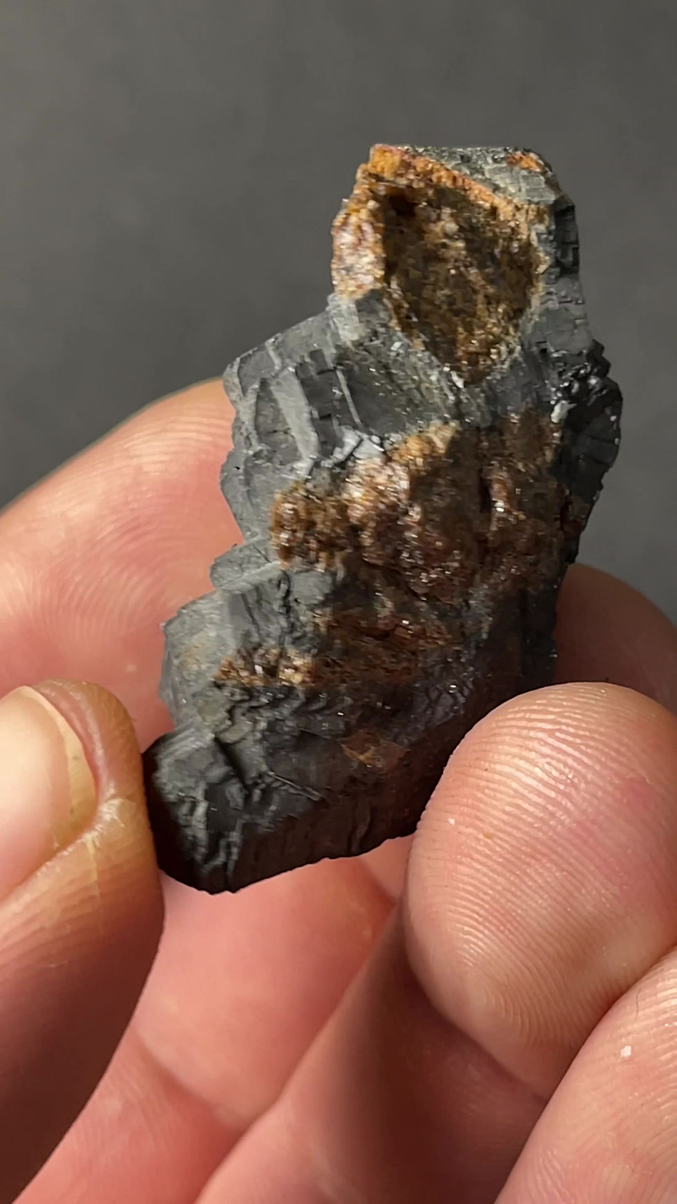 Thumbnail: Galena (Silveriferous) - Tete Carree (3500m), Monte Bianco, Italy