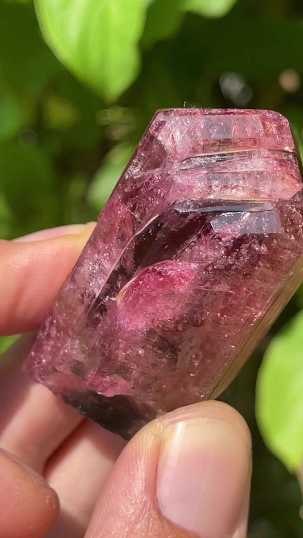 Thumbnail: Tourmaline Var. Liddicoatite – Anjanabonoina, Madagascar - 96 grams