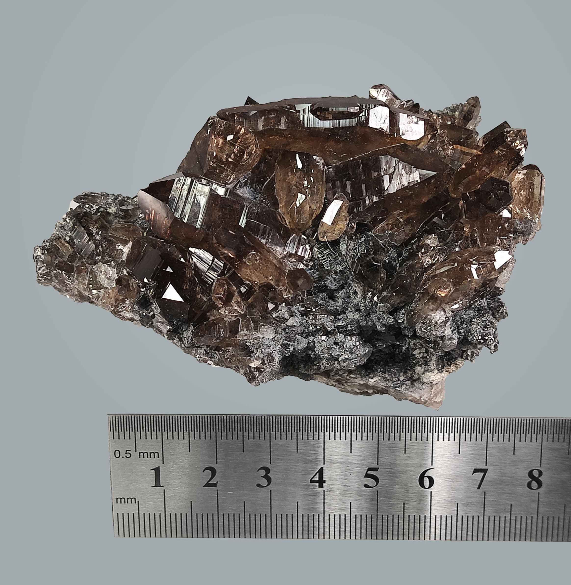 Rauchquarz (Morion) im Übergangshabitus - Oberblatthorn, Binntal, Wallis, CH