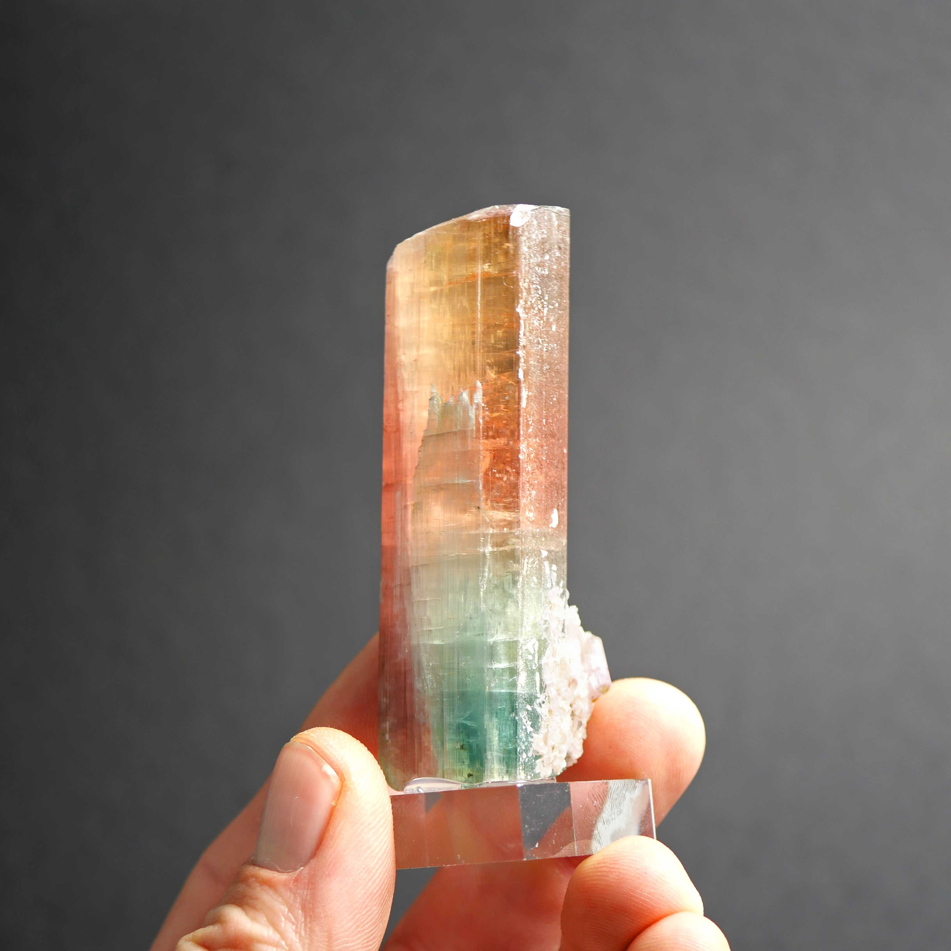 Tourmaline - Minas Gerais, Brazil