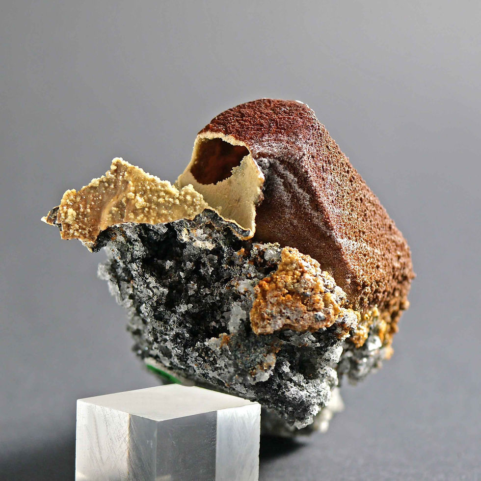 Thumbnail: Siderite after Calcite - South Africa
