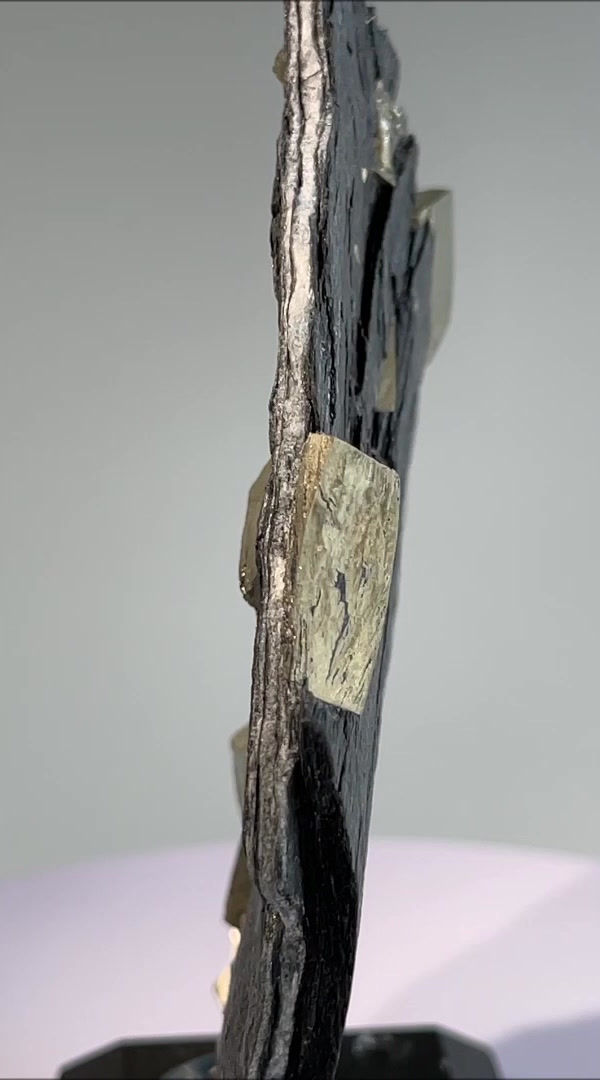 Thumbnail: Pyrite - Alpe Ramosa, Lumnezia, Graubünden, Switzerland