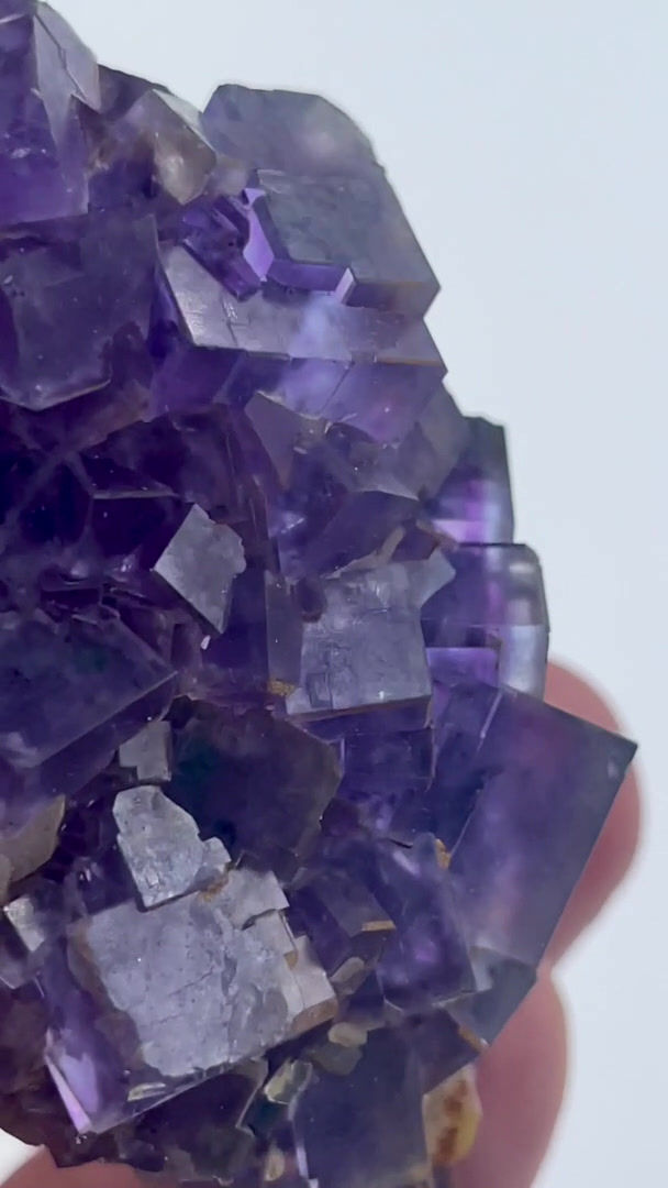 Thumbnail: Fluorite – Berbes, Asturias, Spain