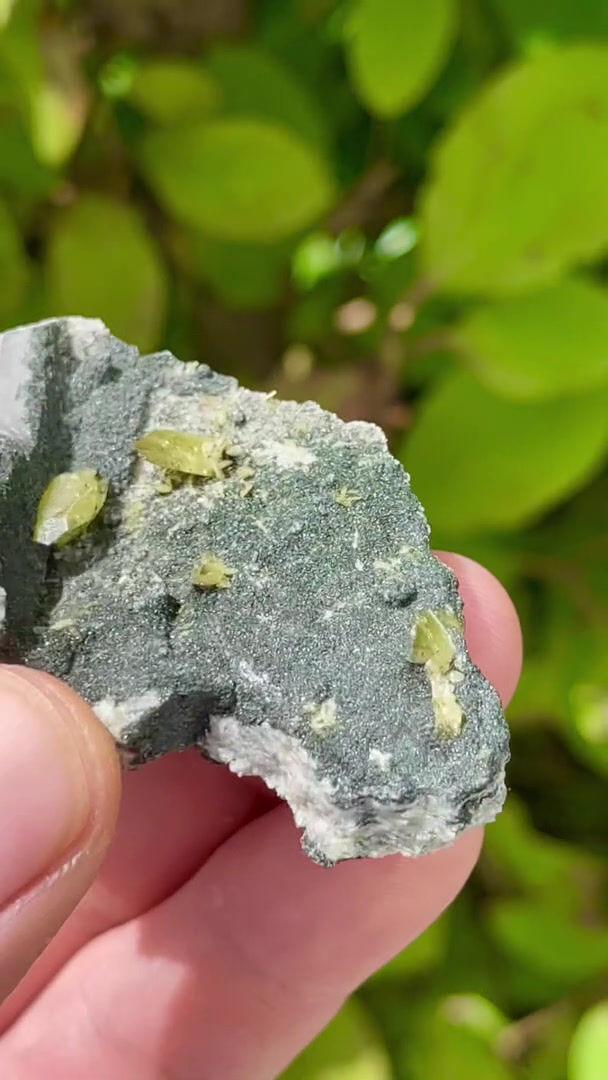 Thumbnail: Titanite (sphene) – Grabspitze, Pfitschtal, South Tyrol, Italy