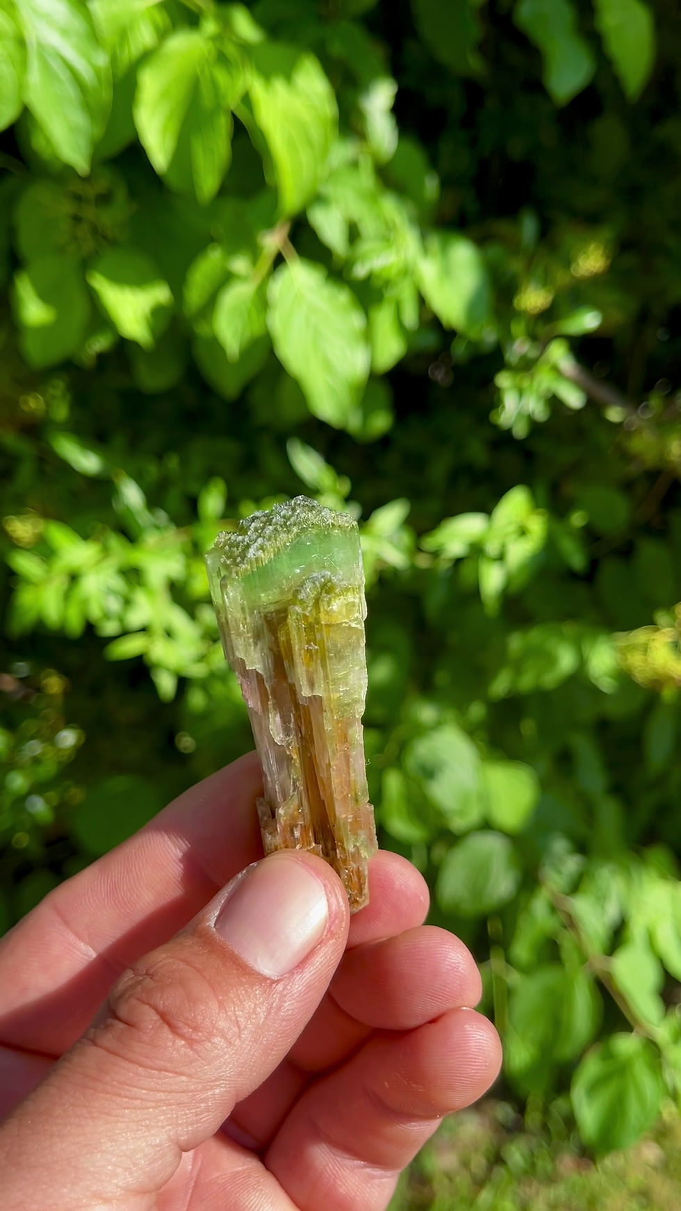 Thumbnail: Scepter Tourmaline Var. Elbaite - Morro Redondo Mine, Coronel Murta, Brazil