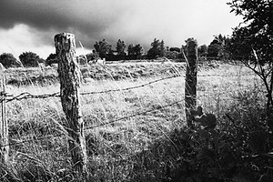 20081040_A07v3_3s2AN.JPG