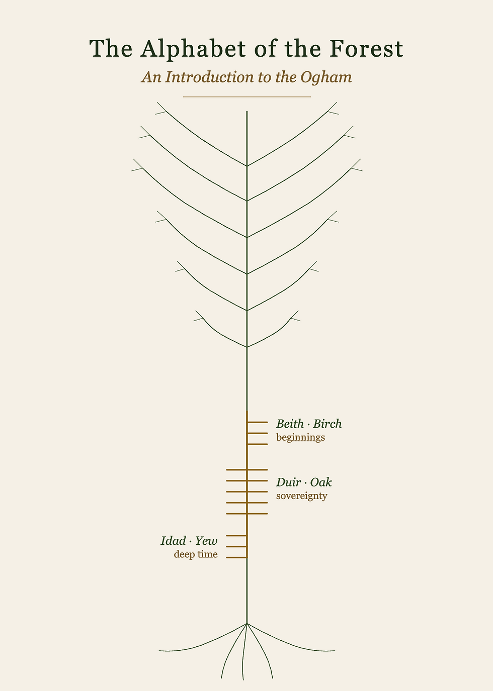The Alphabet of the Forest: An Introduction to the Ogham