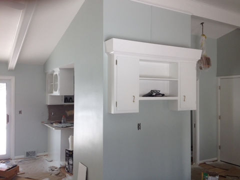 professional color and paint designs Michigan