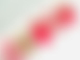 バラ埋め込み 亀戸駅東口徒歩5分ネイルサロンならToiRo-Me(トイロミー)