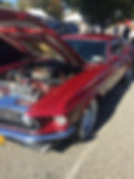 Saturday - 1 of 1.jpeg