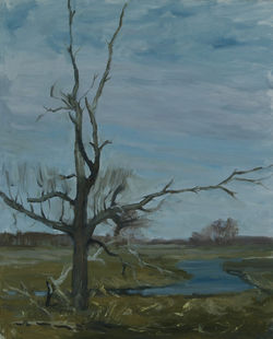 Vana puu               Hind 200 eur 