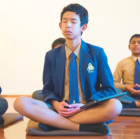 Mindfulness Practice.png